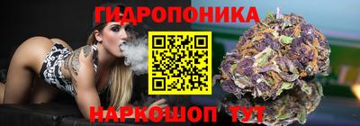 гидропоника Будённовск