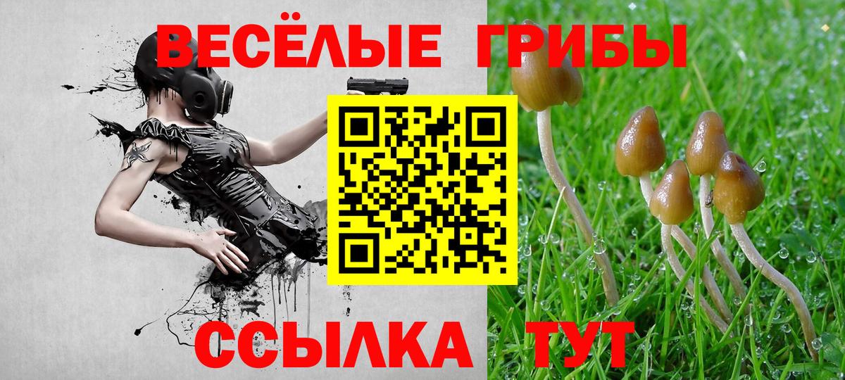 Псилоцибиновые грибы GOLDEN TEACHER  Галлюциногенные грибы Magic Shrooms  Вход с VPN  цена   Кудымкар 